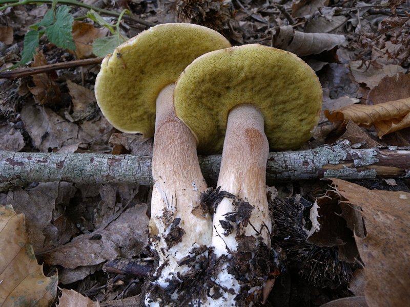 Forse l''ultima bellissima giornata..!!